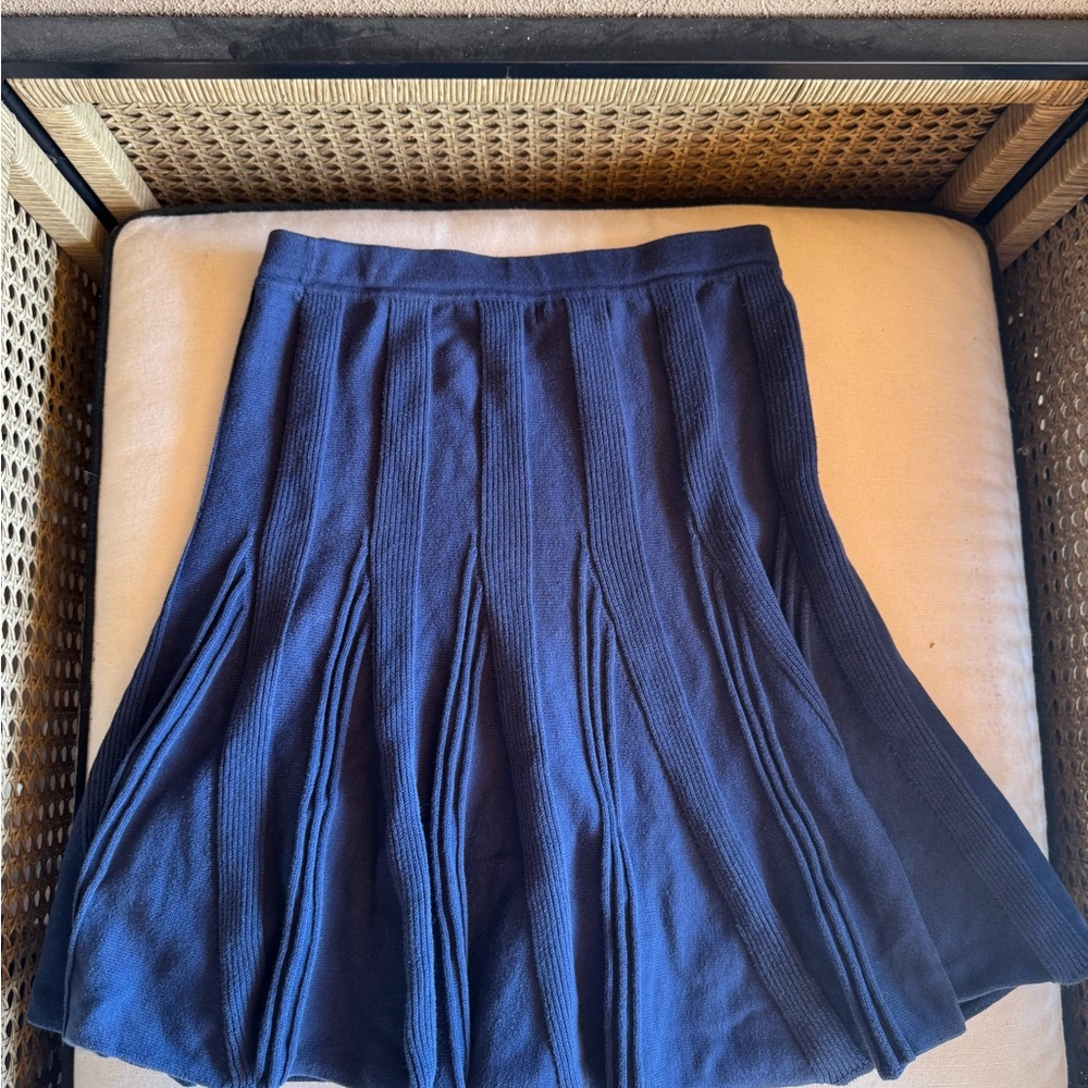 Lux Elegant Navy Blue Pleated Skirt